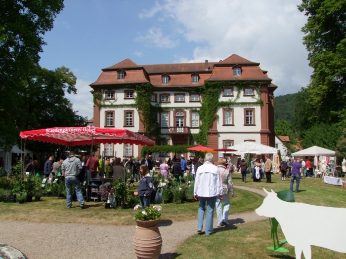 schloss_steinbach__076.jpg