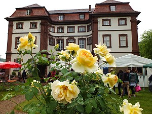 Schloss Steinbach