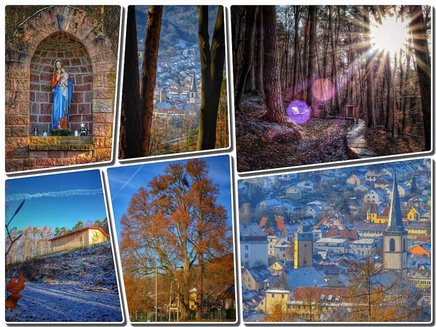 02schlossmanncollage.jpg
