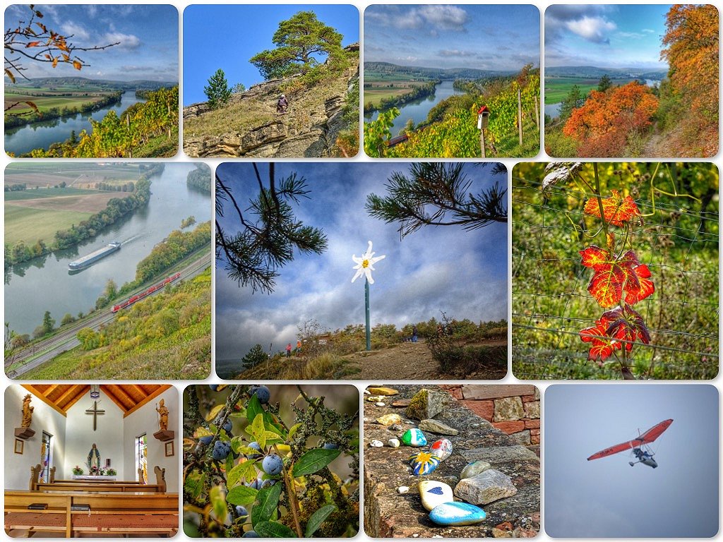 Unterwegs im Naturschutzgebiet Kalbenstein