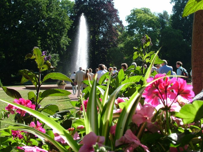 kantorei_031.jpg