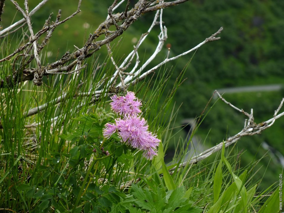 kaprun2015__272.jpg