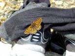 kaprun2015__2218.jpg