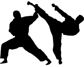 Karate in Lohr a. Main