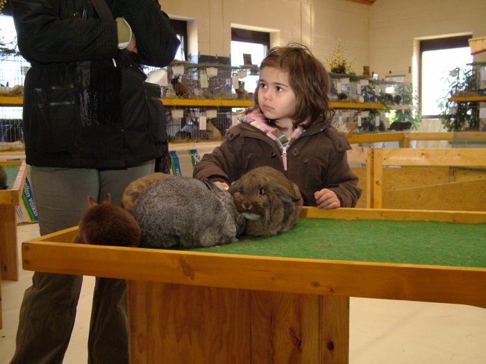 kaninchen_205.jpg