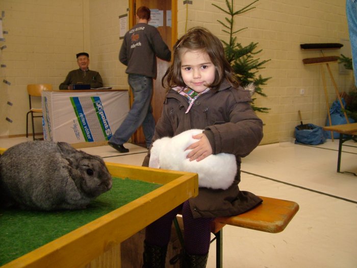 kaninchen_240.jpg