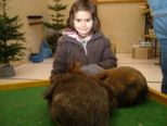 kaninchen_214.jpg