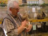 kaninchen_085.jpg