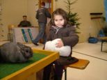 kaninchen_240.jpg