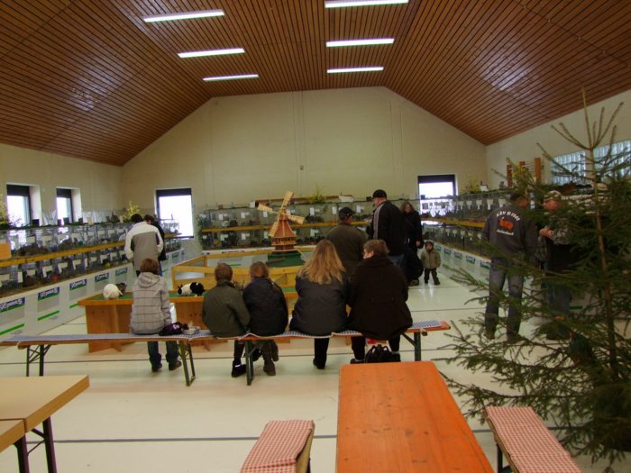 kaninchenzucht_242.jpg
