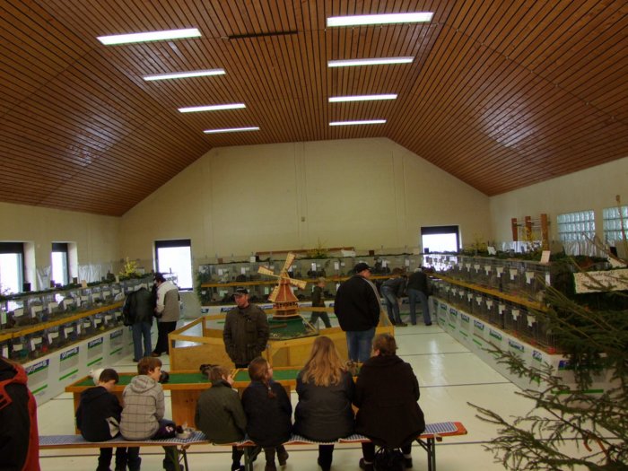 kaninchenzucht_247.jpg