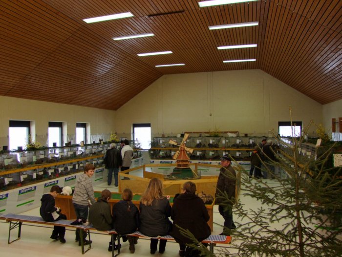 kaninchenzucht_249.jpg