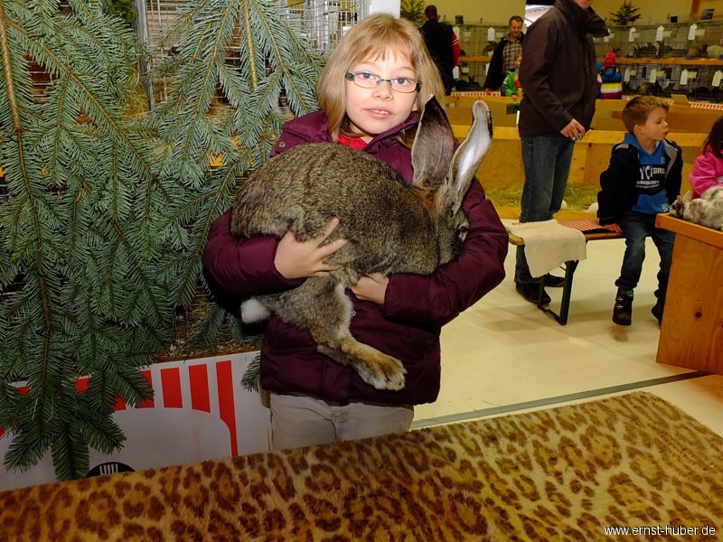 kaninchen_002.jpg