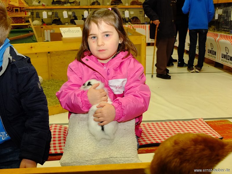 kaninchen_080.jpg
