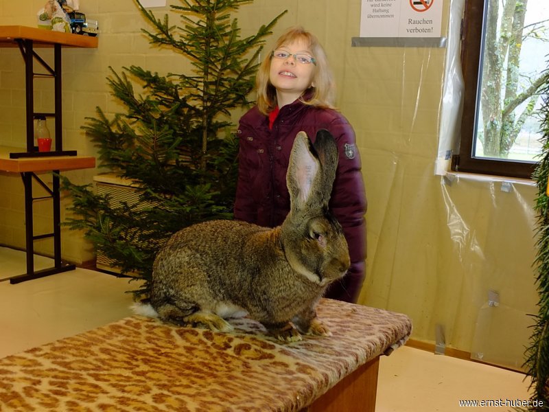 kaninchen_124.jpg
