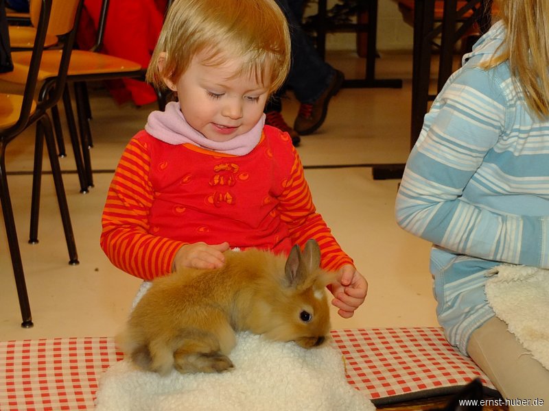 kaninchen_169.jpg