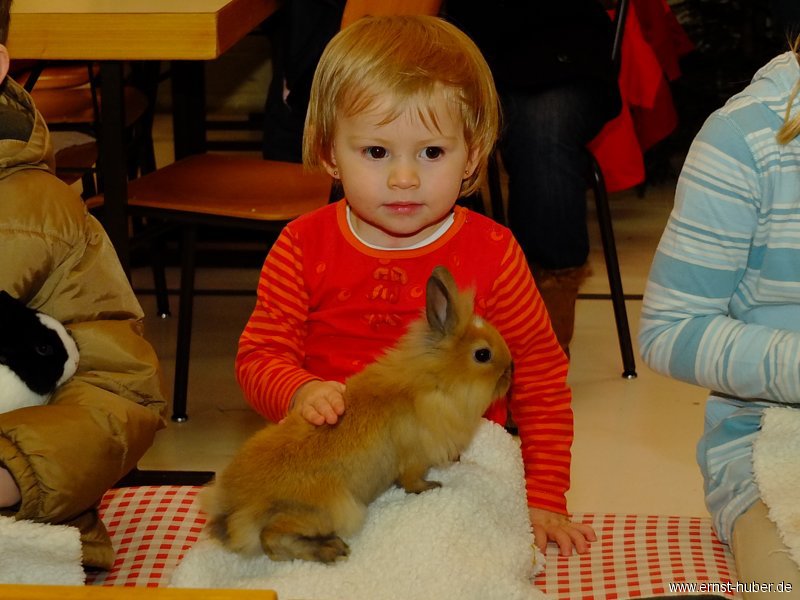 kaninchen_177.jpg