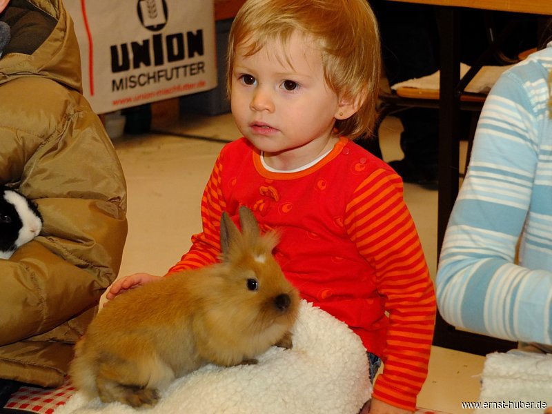 kaninchen_180.jpg