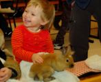kaninchen_182.jpg