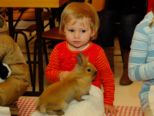 kaninchen_176.jpg