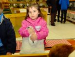 kaninchen_080.jpg