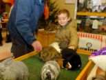 kaninchen_081.jpg