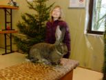 kaninchen_124.jpg