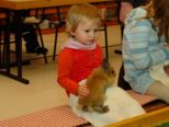 kaninchen_167.jpg