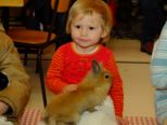 kaninchen_175.jpg