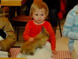 kaninchen_177.jpg