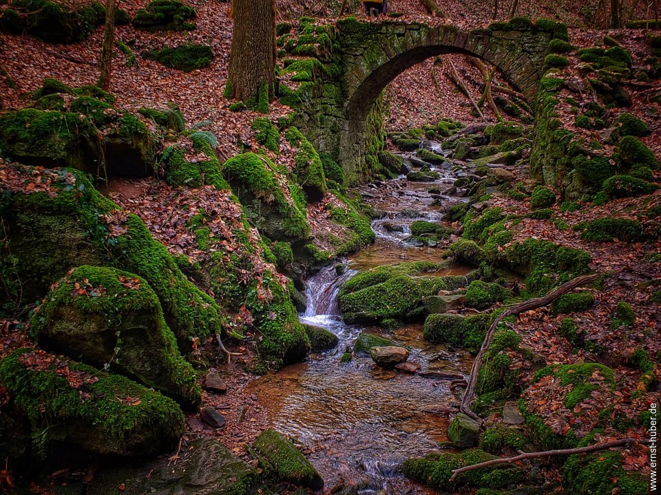 klingenbachschlucht_096.jpg