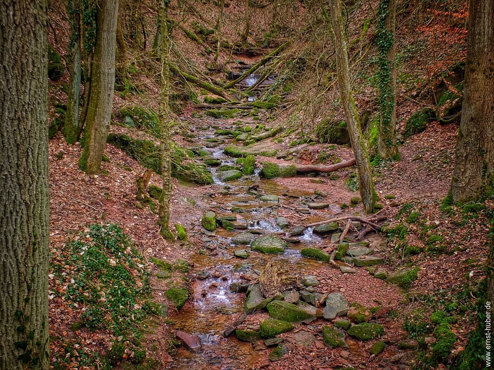 klingenbachschlucht_181.jpg