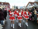 faschingszug2010__006.jpg