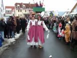 faschingszug2010__023.jpg