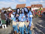 faschingszug2011__093.jpg