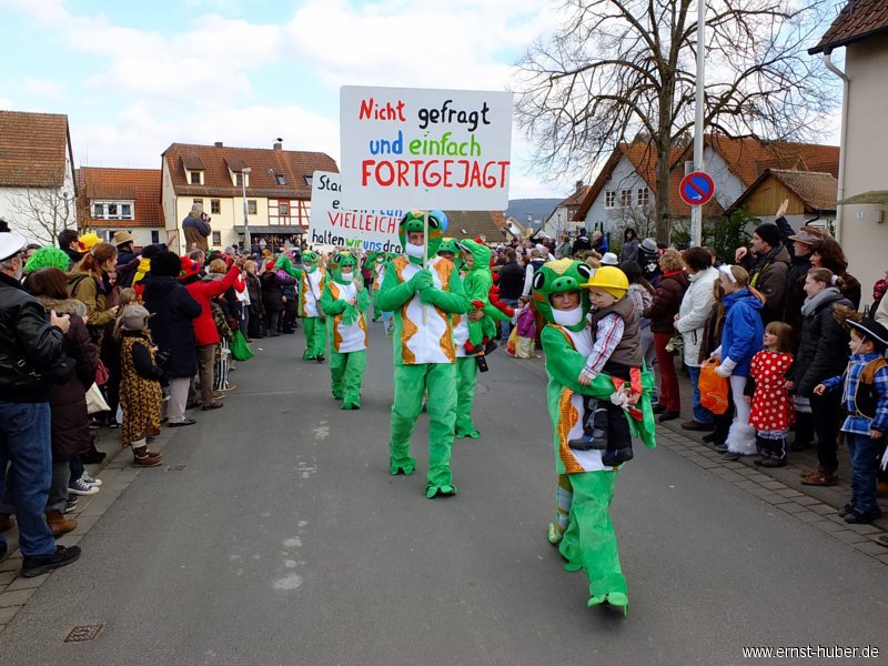 faschingszug2014__040.jpg