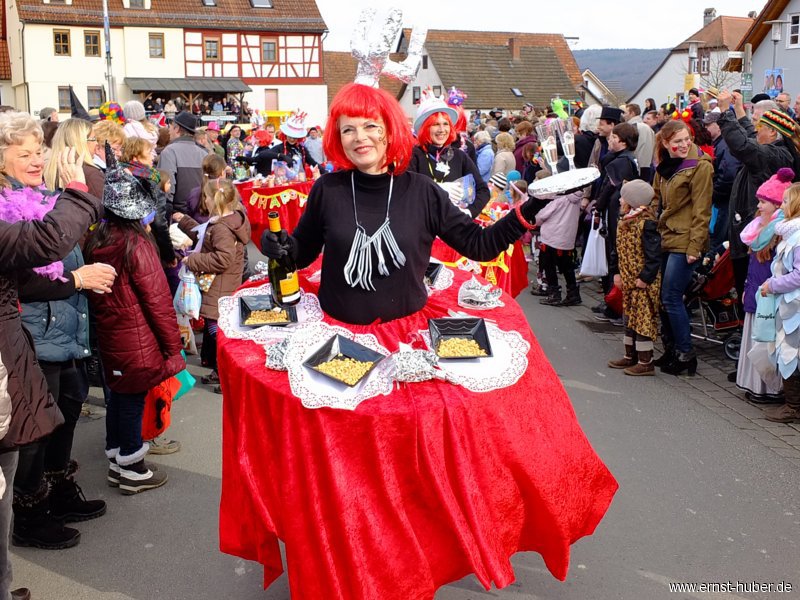 faschingszug2014__105.jpg