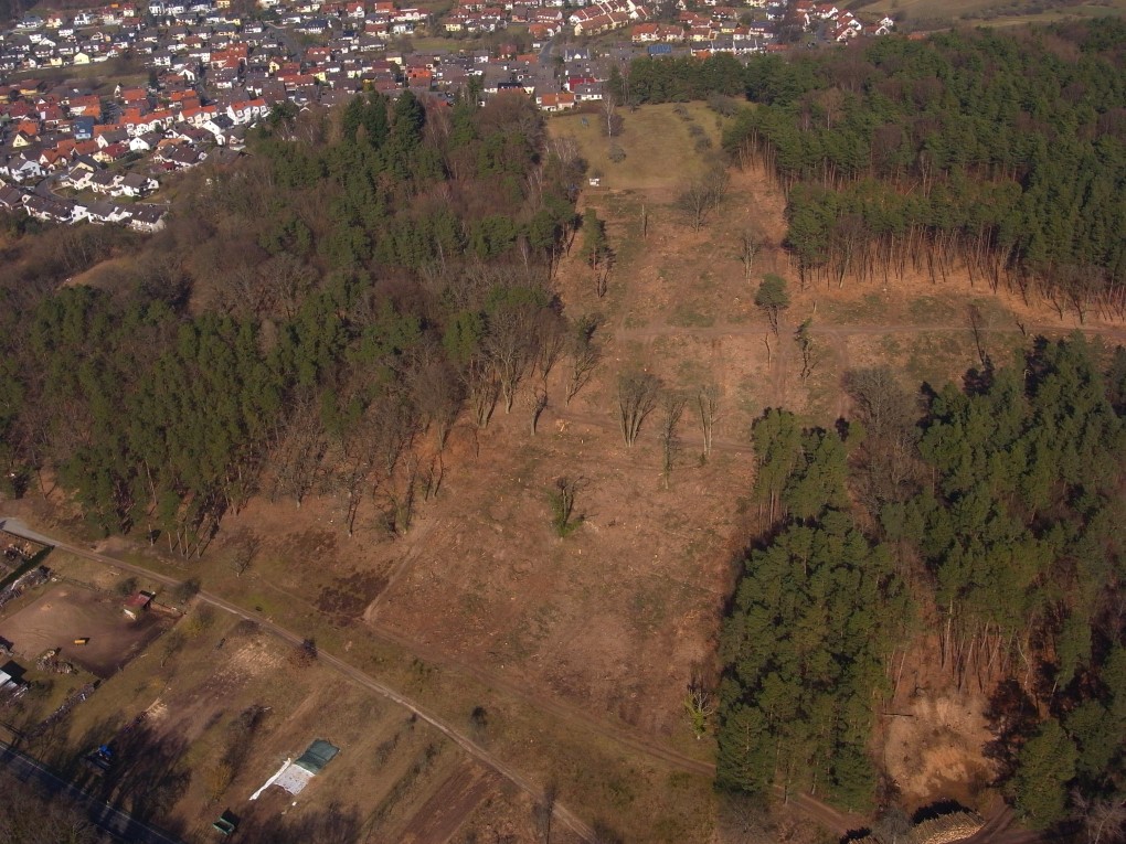 Der Eidechsenkorridor in Lohr Sendelbach