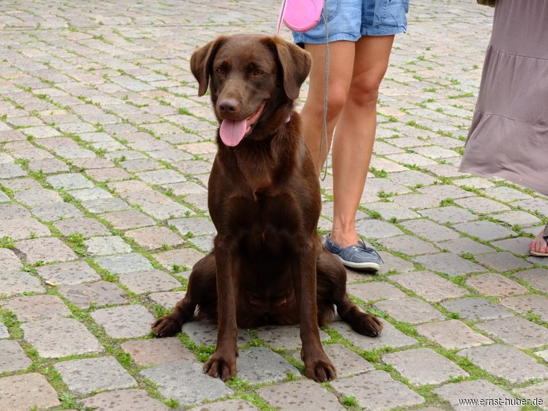 kulturfest2013__338.jpg