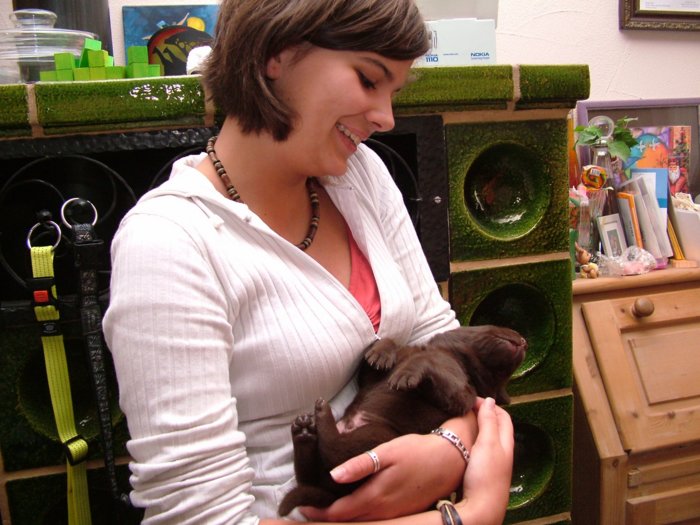 labrador_080.jpg