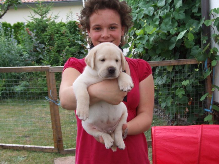 hundebabies_013.jpg