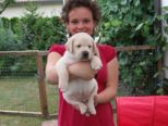 hundebabies_013.jpg