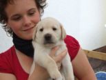 hundebabies_105.jpg