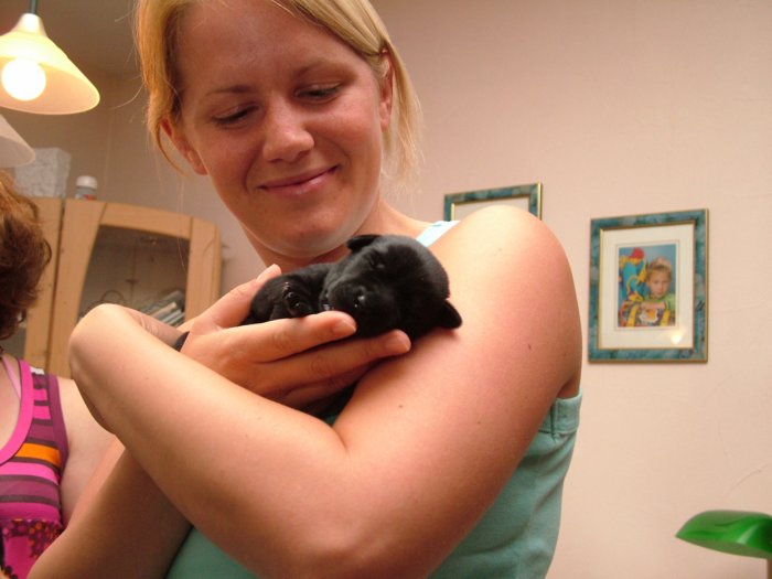 labrador067.jpg