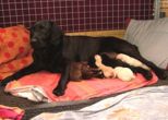 lucie10052009.jpg
