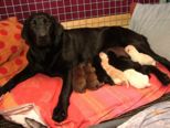 lucie_0210052009.jpg