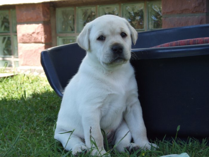 labies_13_06_09_075.jpg