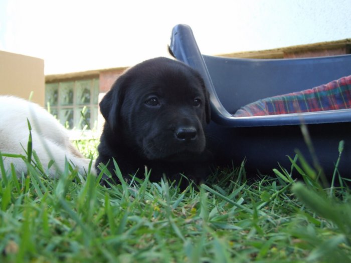 labies_13_06_09_084.jpg