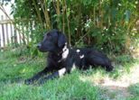 labies_13_06_09_296.jpg