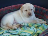 labies_13_06_09_040.jpg